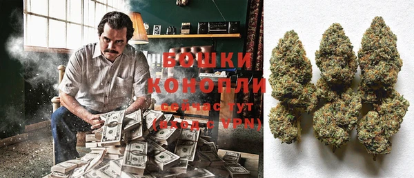 гашик Белоозёрский