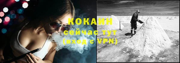 гашик Белоозёрский