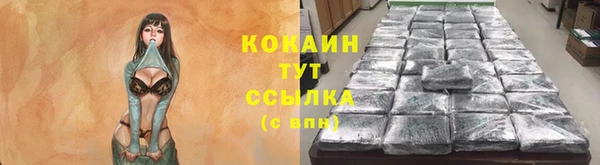 spice Белокуриха