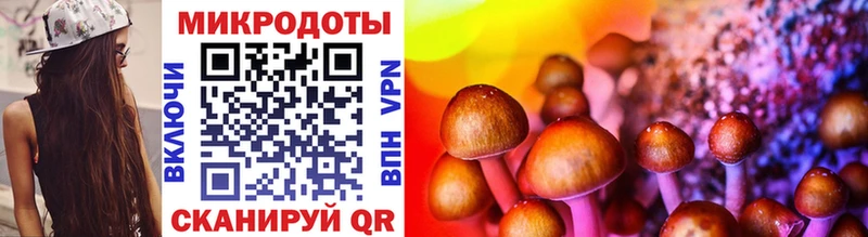Галлюциногенные грибы Psilocybine cubensis  Называевск 